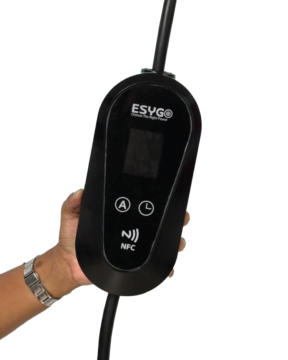 Gallery Thumb Gallery Thumb